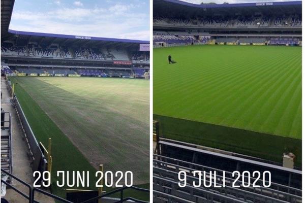 Aménagement terrain du stade en gazon hybride Grassmaster avec chauffage - Sportinfrabouw NV